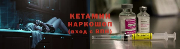 сатива Осинники