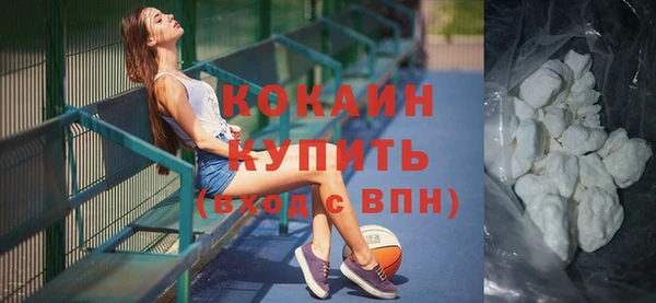 сатива Осинники